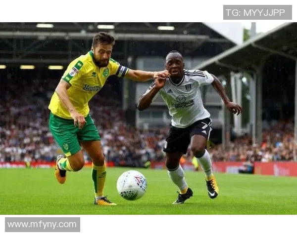 女王队与卡迪夫城的激烈对决展现英冠联赛的精彩与魅力