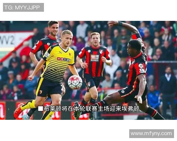 布莱顿与埃弗顿对决分析及双方近期状态评估