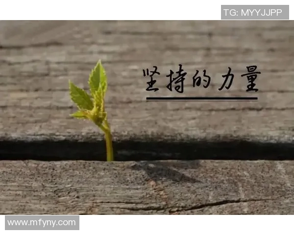 焦泊乔:在风云变幻的时代中追寻梦想与坚持的力量 焦泊乔:在风云变幻的时代中追寻梦想与坚持的力量