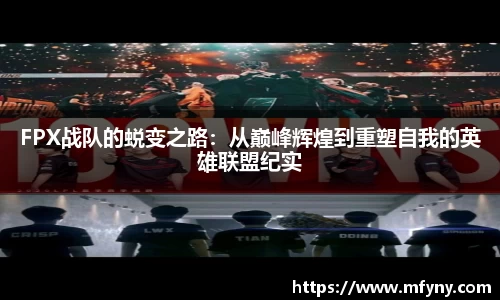 星空娱乐