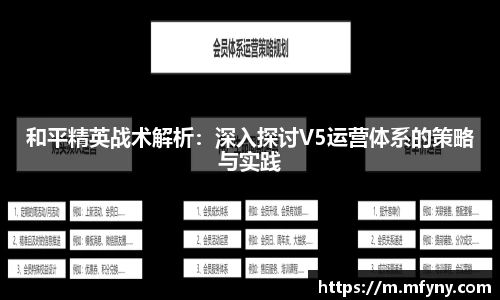 娱乐星空下载
