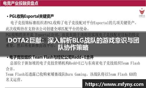 DOTA2巨献：深入解析BLG战队的游戏意识与团队协作策略