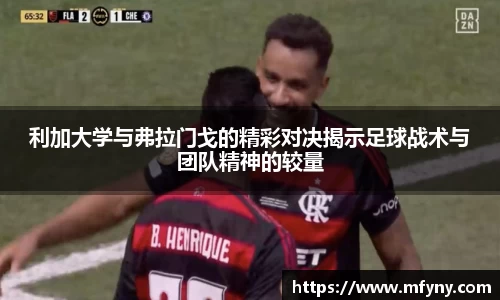 娱乐星空下载