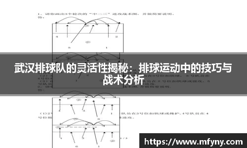 武汉排球队的灵活性揭秘：排球运动中的技巧与战术分析